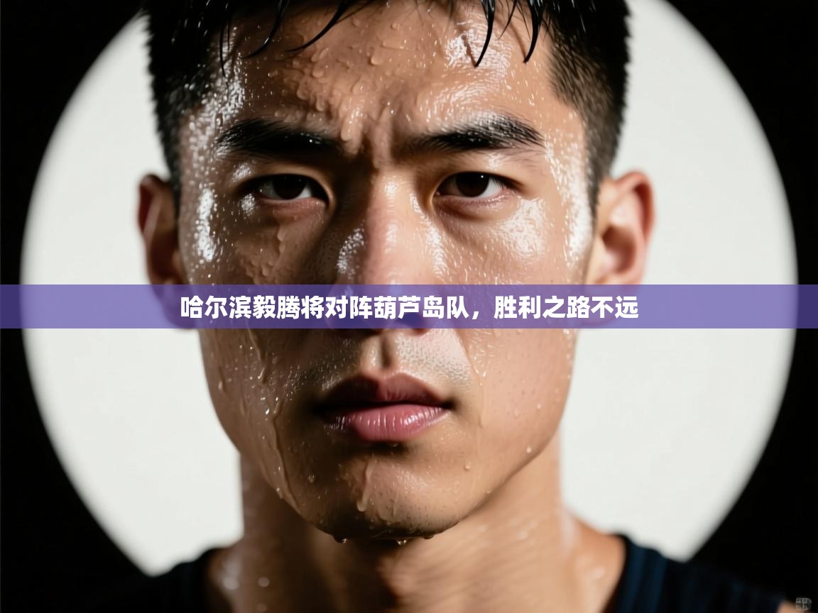 哈尔滨毅腾将对阵葫芦岛队,胜利之路不远 第1张