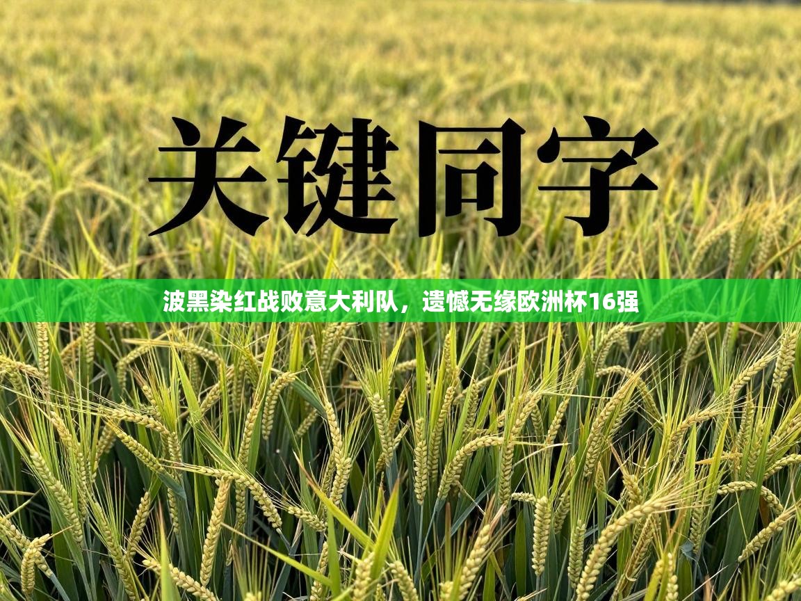 波黑染红战败意大利队,遗憾无缘欧洲杯16强 第2张