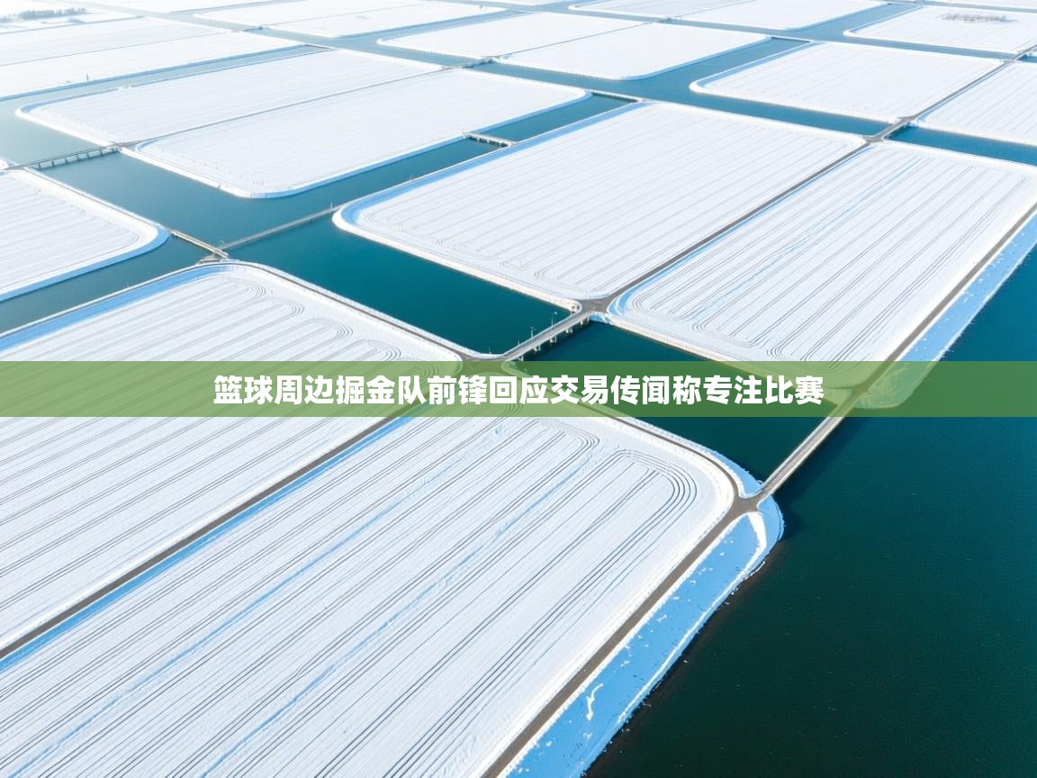 篮球周边掘金队前锋回应交易传闻称专注比赛  第1张