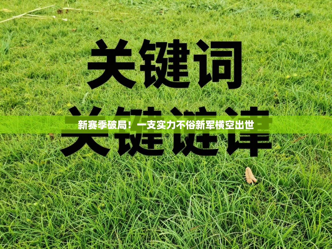 新赛季破局！一支实力不俗新军横空出世